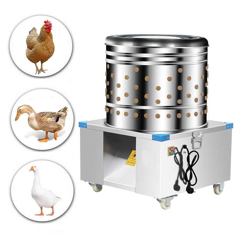 Chicken Plucker Machine - Popular 60Cm Barrel Commercial Chicken Poultry