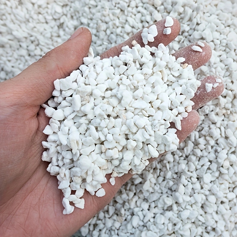 Horticulture Soil Perlite - 1 Pack of 3-6mm Horticultural Perlite