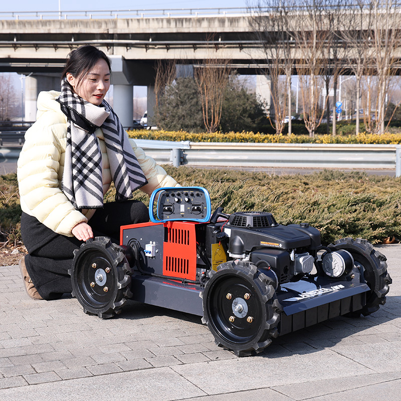Customized Factory 500mm Diese - Farming Zero review and price