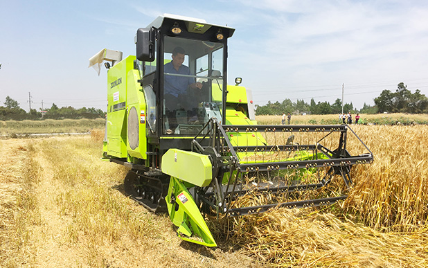 Combine Harvester Wheat Grain  - Farming Agriculture Video review and price