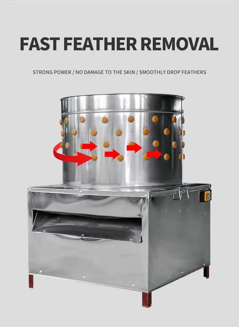 HHD Medium Size SD50 Chicken F - Chicken Plucker Machine review and price