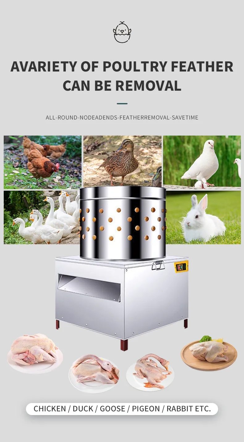HHD Medium Size SD50 Chicken F - Chicken Plucker Machine review and price