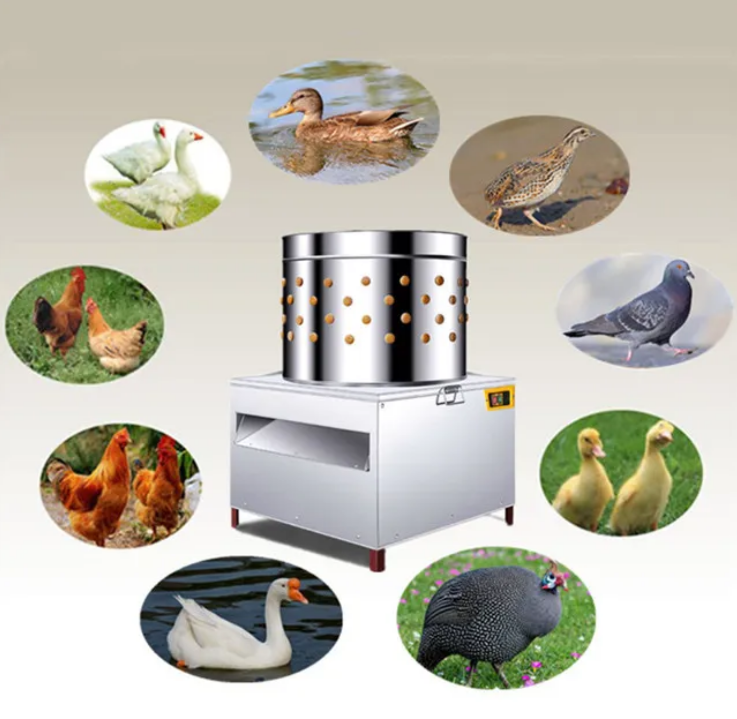 Commercial Chicken Defeatherin - Chicken Plucker Machine review and price