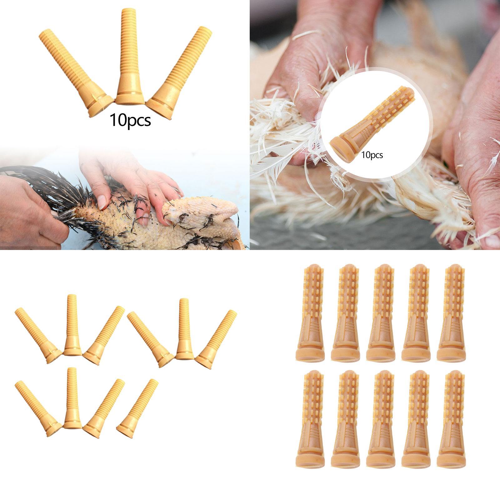 Poultry Plucker Machine Parts  - Chicken Plucker Machine review and price