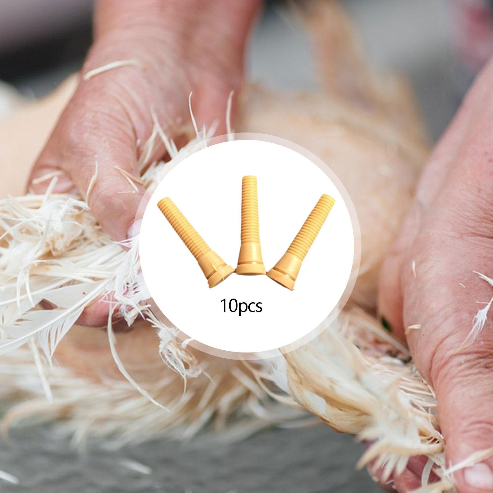 Poultry Plucker Machine Parts  - Chicken Plucker Machine review and price