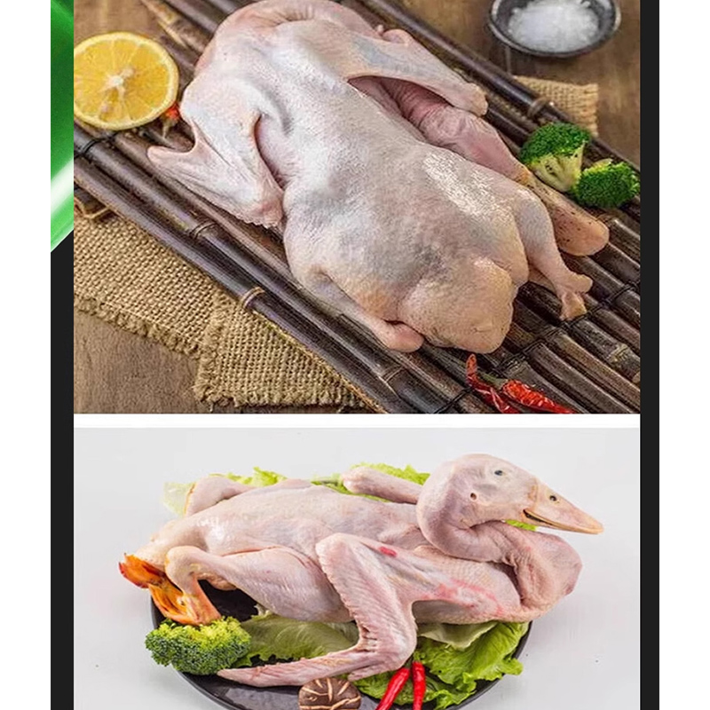 Handheld Feather Plucker Machi - Chicken Plucker Machine review and price