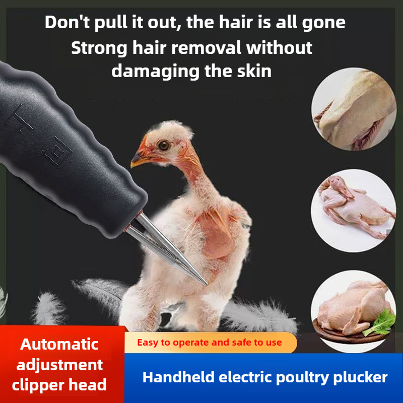 Portable Electric Chicken Pluc - Chicken Plucker Machine review and price
