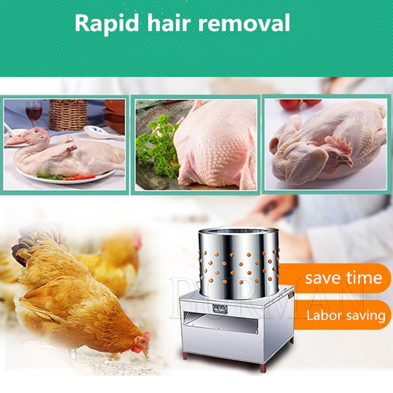 New Quail Pigeons Bird Hair Re - Chicken Plucker Machine review and price