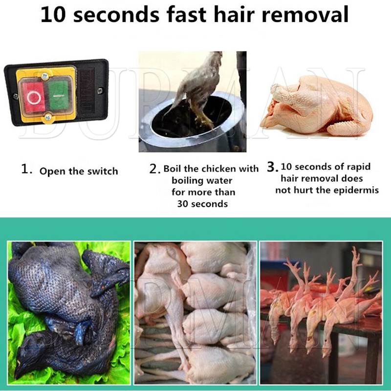 New Quail Pigeons Bird Hair Re - Chicken Plucker Machine review and price