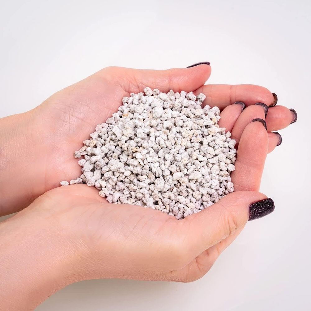 Organic Perlite - Medium Grade - Horticulture Soil Perlite review and price