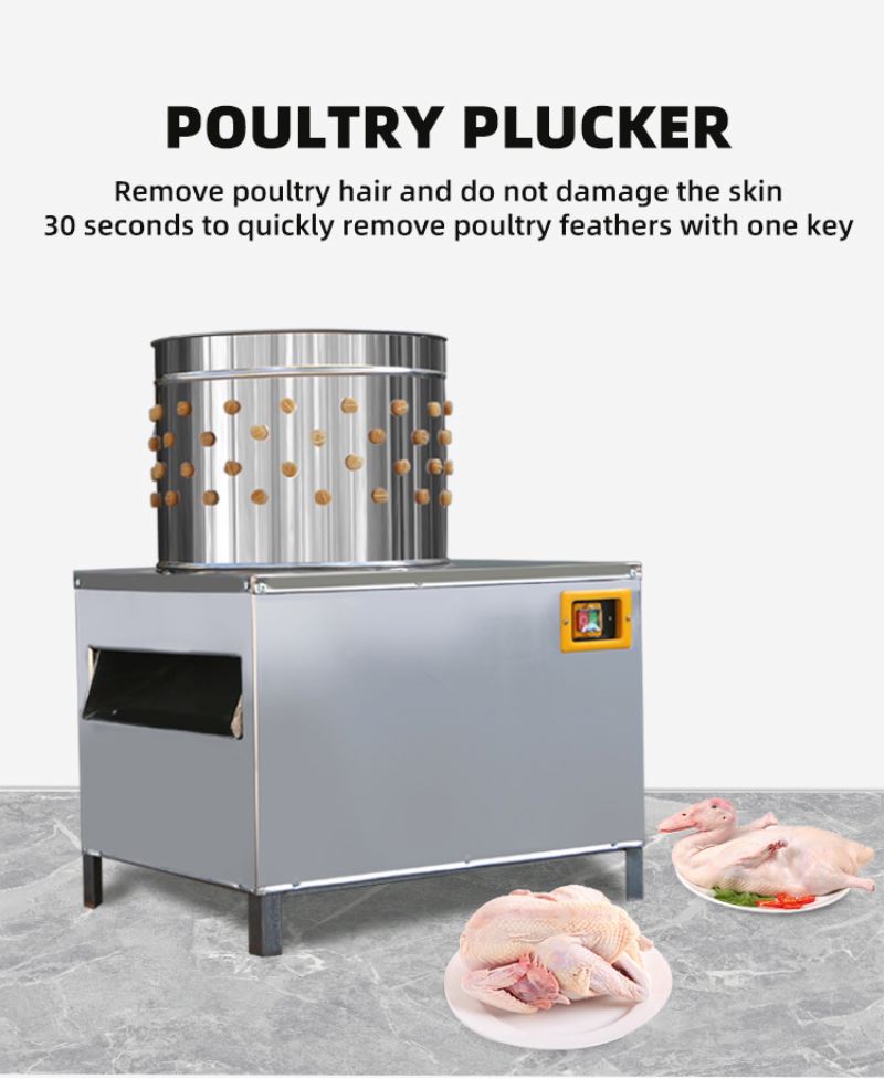 ISO Approved Pigeons Chicken S - Chicken Plucker Machine review and price