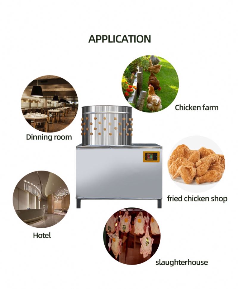ISO Approved Pigeons Chicken S - Chicken Plucker Machine review and price